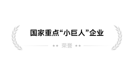 國家重點小巨人企業